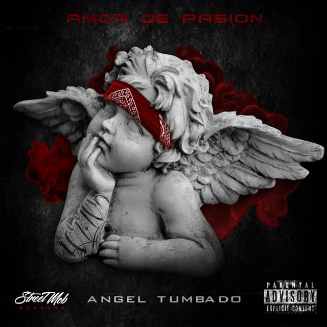 Album cover art for Amor de Pasion