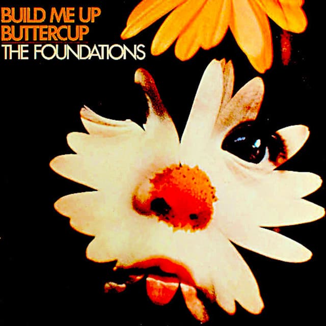 Album cover art for Build Me Up Buttercup