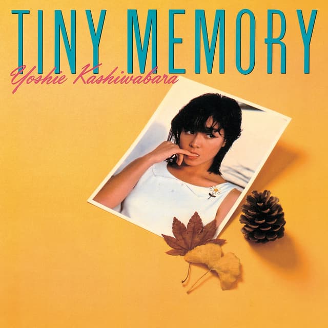Album cover art for タイニー・メモリー