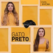 Album cover art for Gato Preto