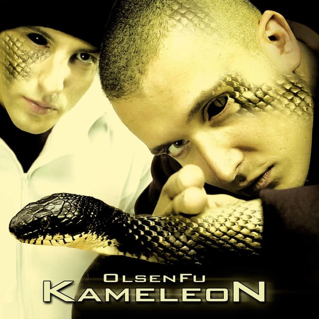 Album cover art for Kameleon