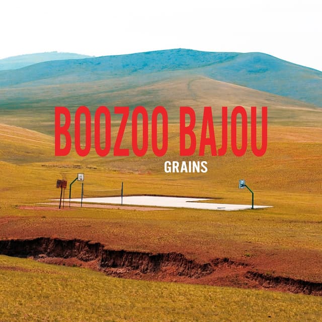 Album cover art for Grains
