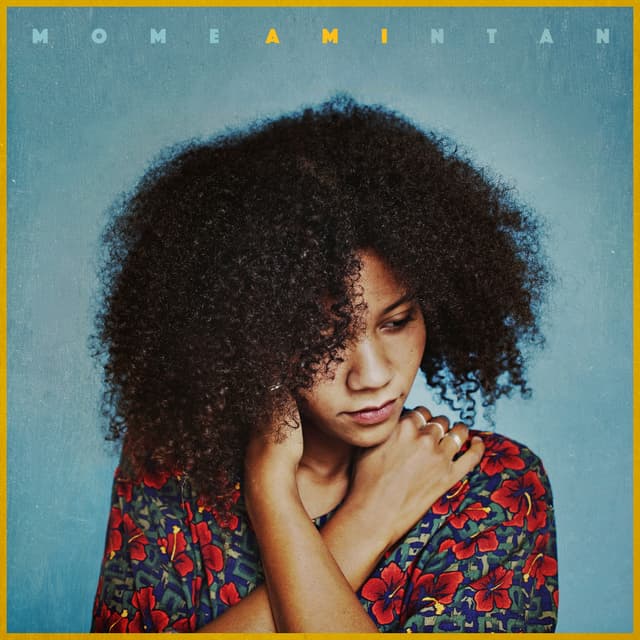 Album cover art for Momentan