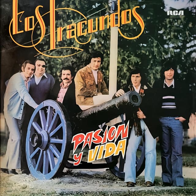 Album cover art for Pasión y Vida