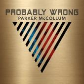 Album cover art for Probably Wrong