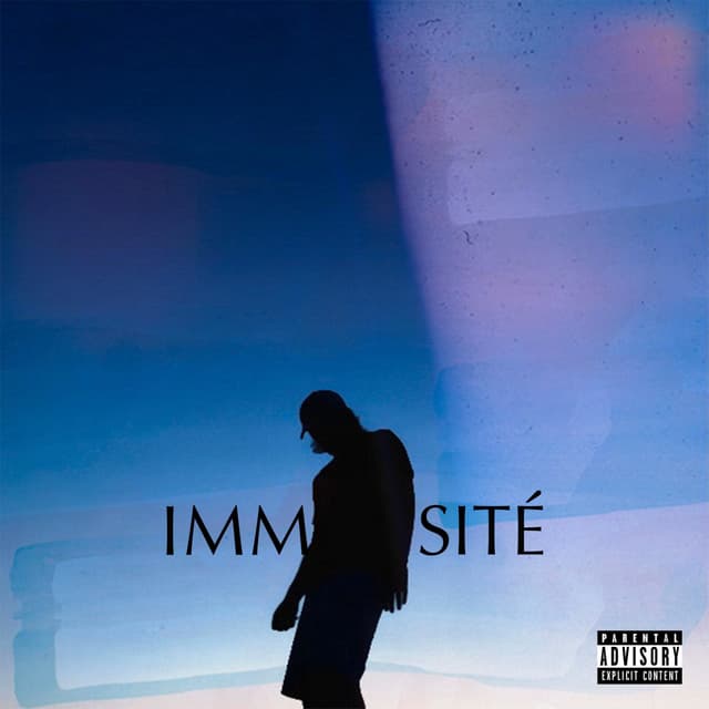 Album cover art for IMMENSITÉ
