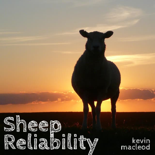 Album cover art for Sheep Reliability