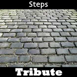Album cover art for Tragedy: Tribute To Steps