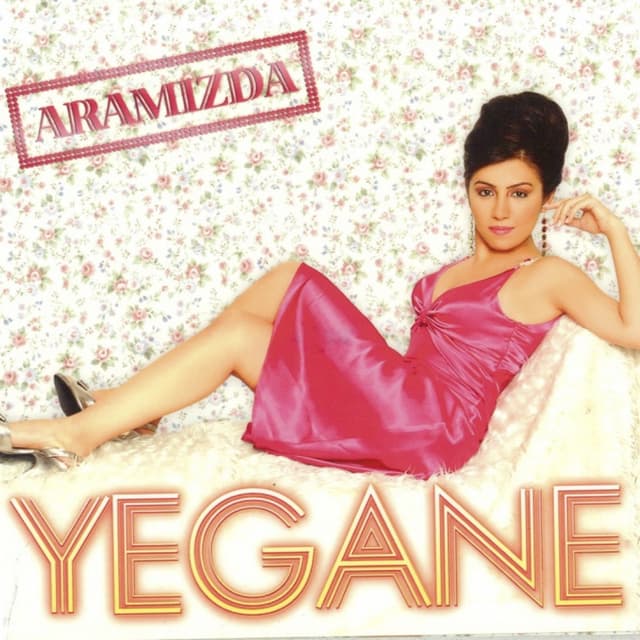 Album cover art for Aramızda
