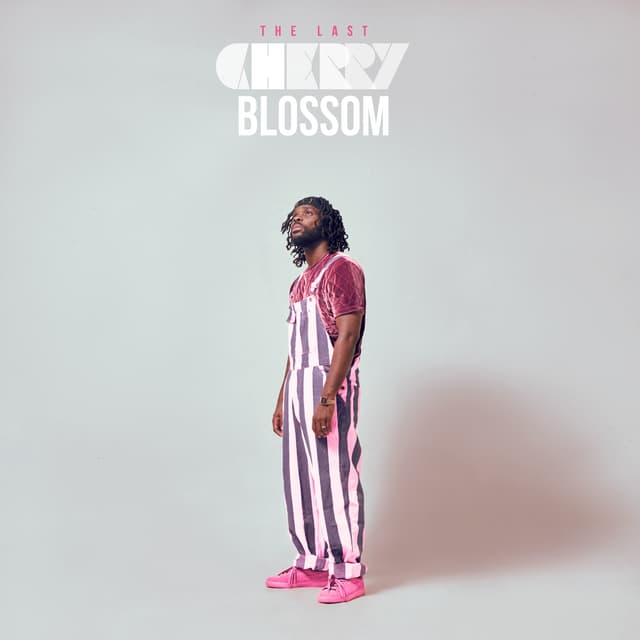 Album cover art for The Last Cherry Blossom