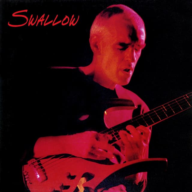 Album cover art for Swallow