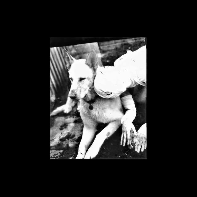 Album cover art for Turning Silver