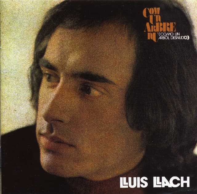 Album cover art for Com Un Arbre Un