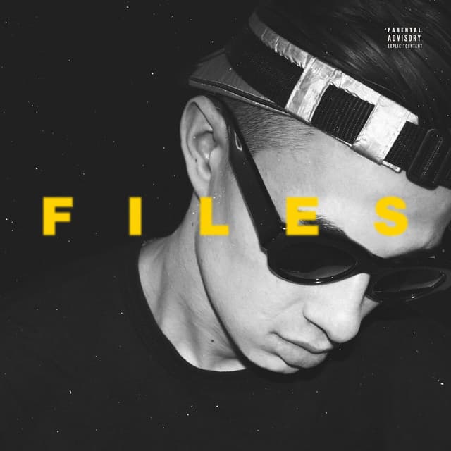 Album cover art for Files