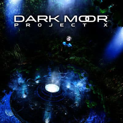 Album cover art for Project X