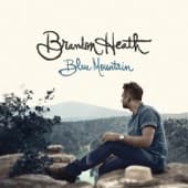 Album cover art for Blue Mountain