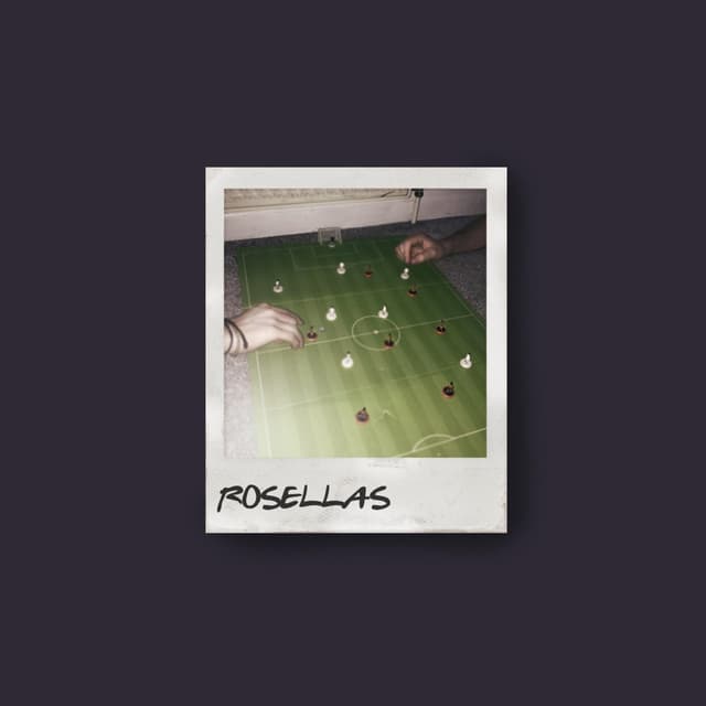 Album cover art for Rosellas