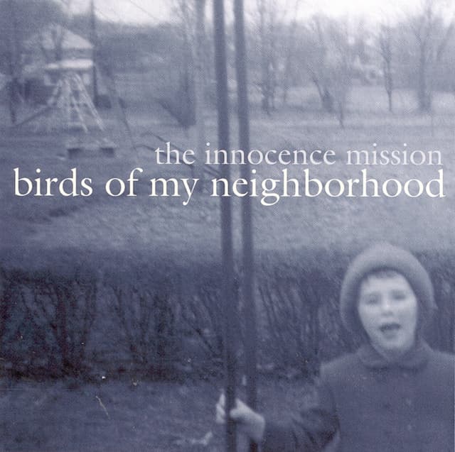Album cover art for Birds Of My Neighborhood