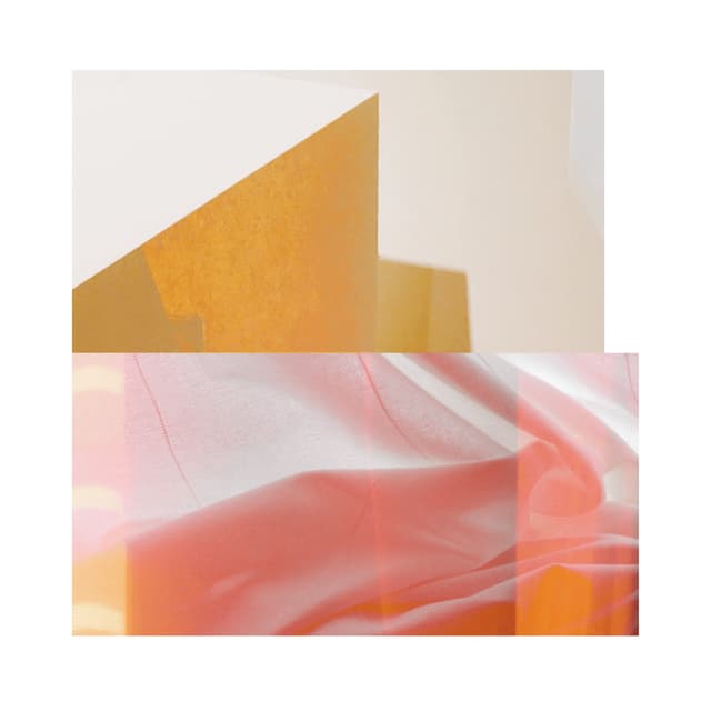 Album cover art for New Life