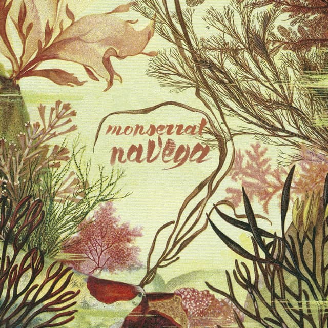 Album cover art for Navega