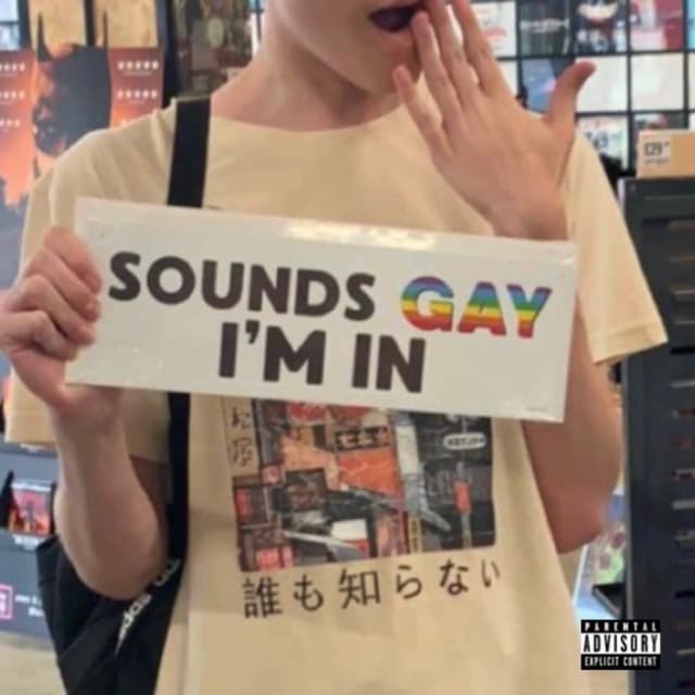 Album cover art for SOUNDS GAY I’M IN