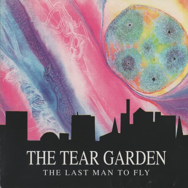 Album cover art for The Last Man To Fly