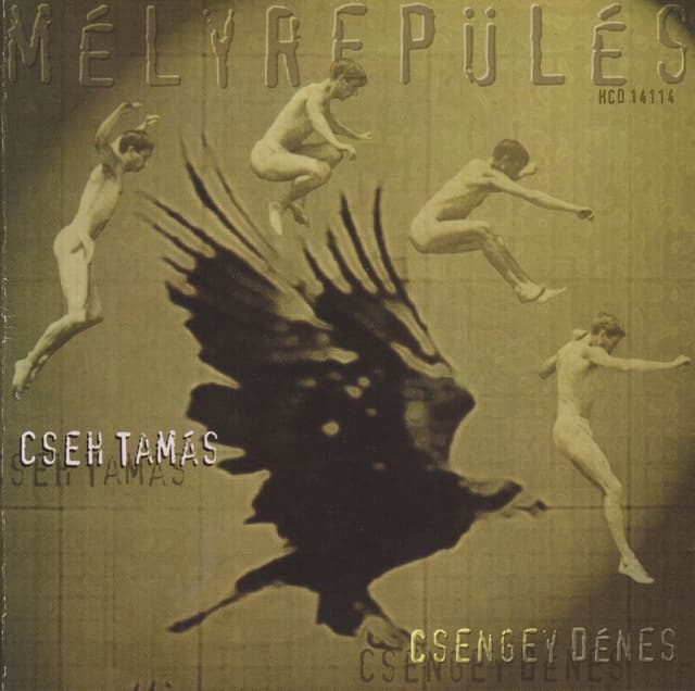 Album cover art for Mélyrepülés