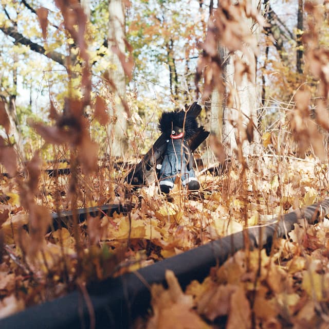 Album cover art for GOLLIWOG