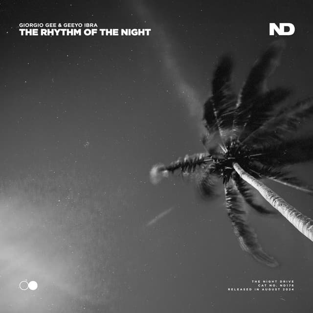 Album cover art for The Rhythm of the Night