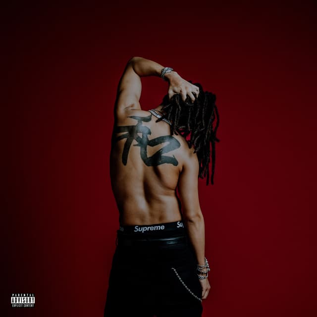 Album cover art for Wataru