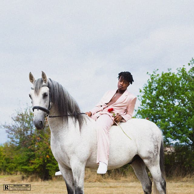 Album cover art for Enchanté