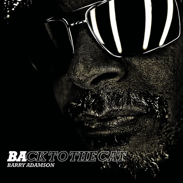 Album cover art for Back to the Cat