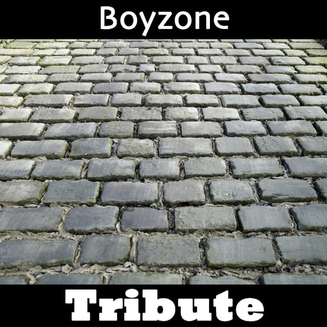Album cover art for All That I Need: Tribute To Boyzone