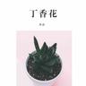 丁香花 (Ding Xiang Hua)