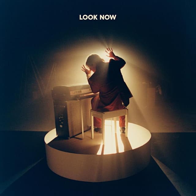 Album cover art for Look Now