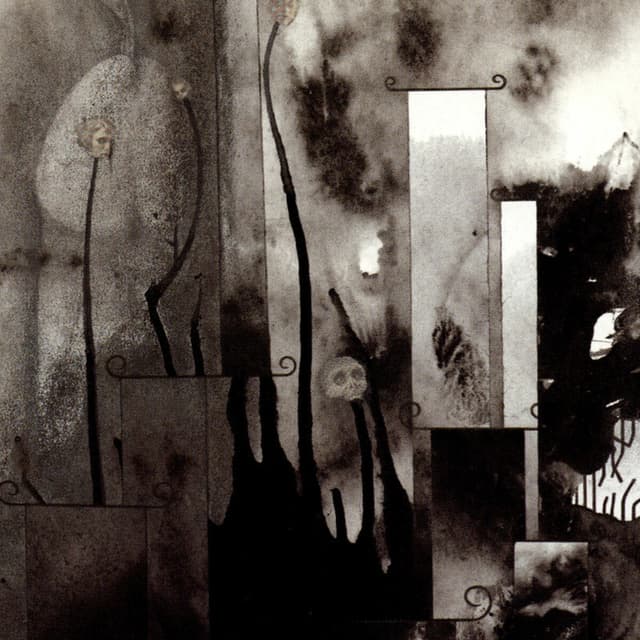 Album cover art for In Menstrual Night