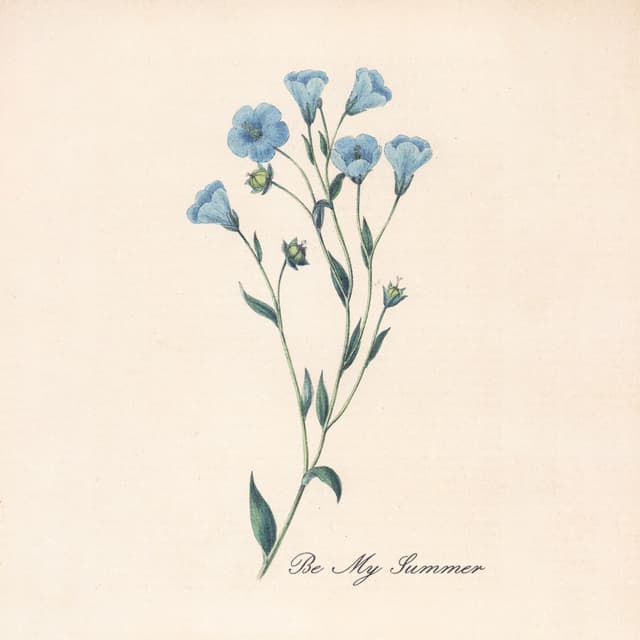 Album cover art for Be My Summer