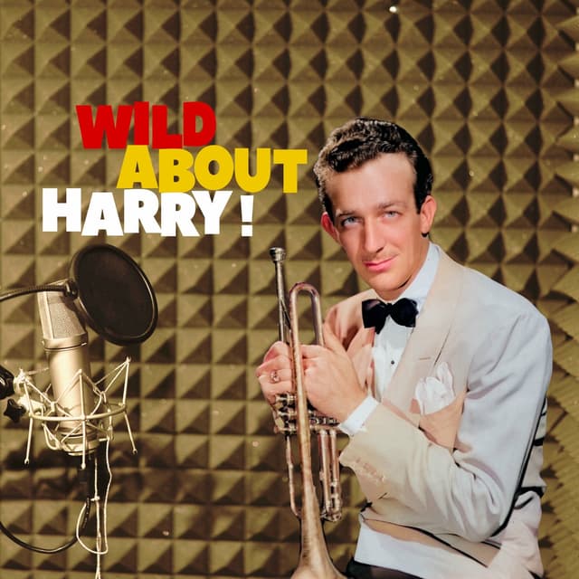 Album cover art for Wild About Harry