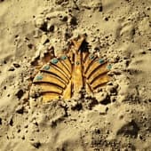 Album cover art for Daihakken