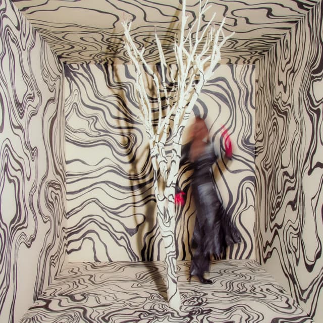 Album cover art for Revealer