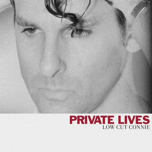 Album cover art for Private Lives