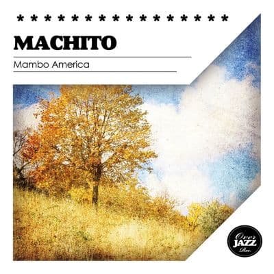 Album cover art for Mambo America