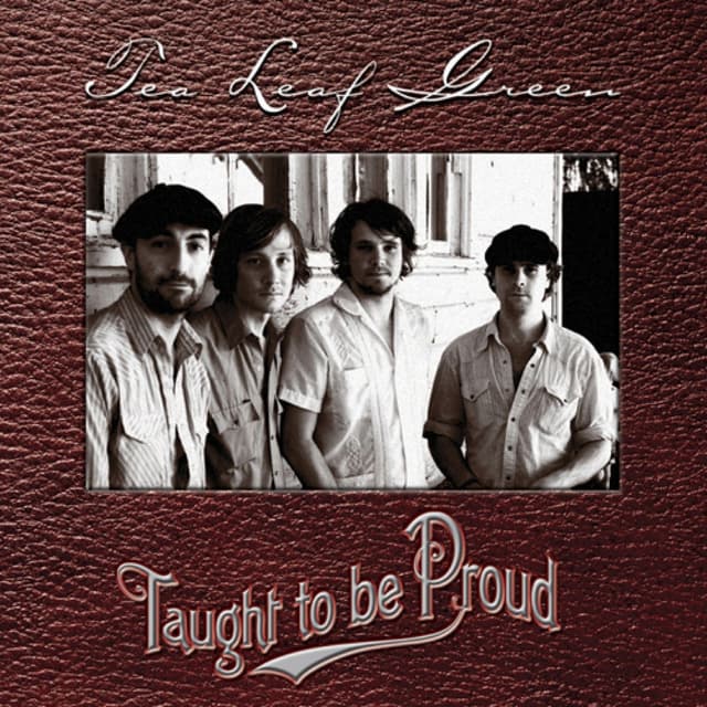 Album cover art for Taught To Be Proud