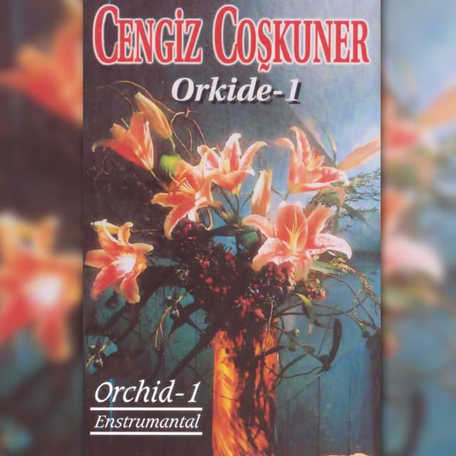 Album cover art for Orkide, Vol. 1