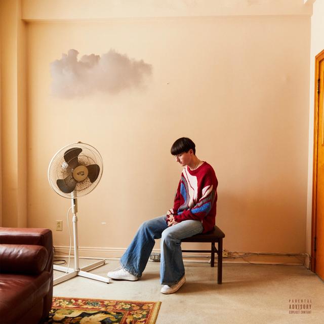 Album cover art for Demain Il Fera Beau