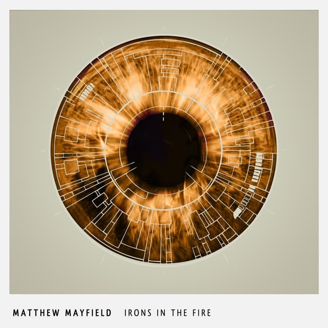 Album cover art for Irons In The Fire