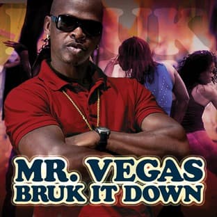 Album cover art for Bruk It Down