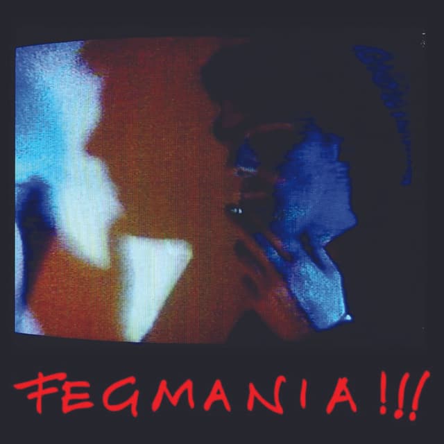 Album cover art for Fegmania!