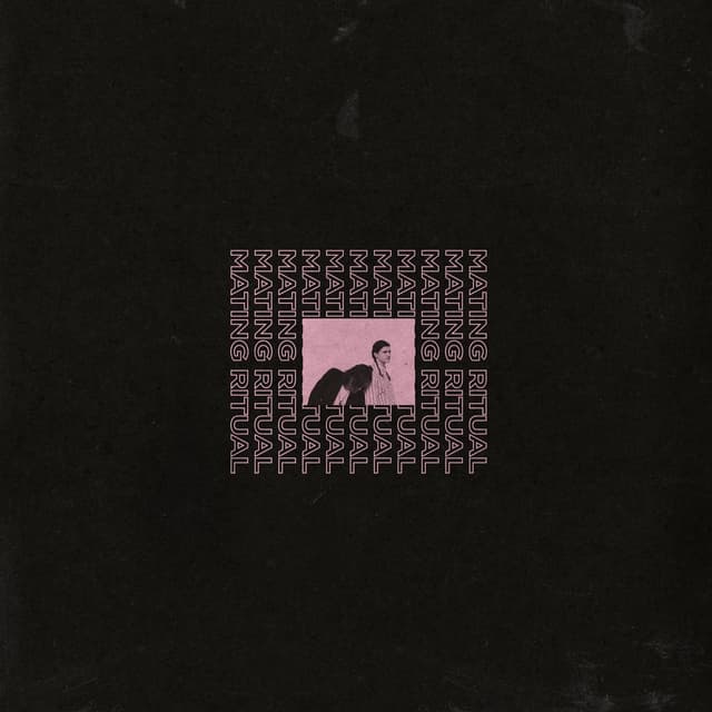 Album cover art for Light Myself on Fire