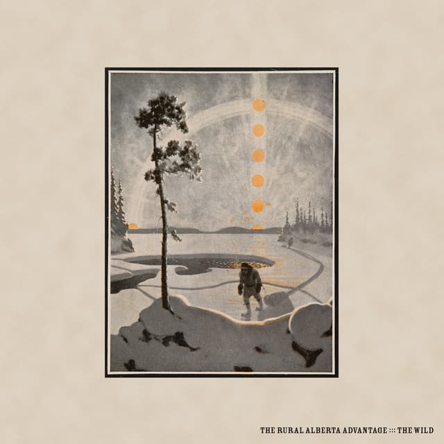 Album cover art for The Wild